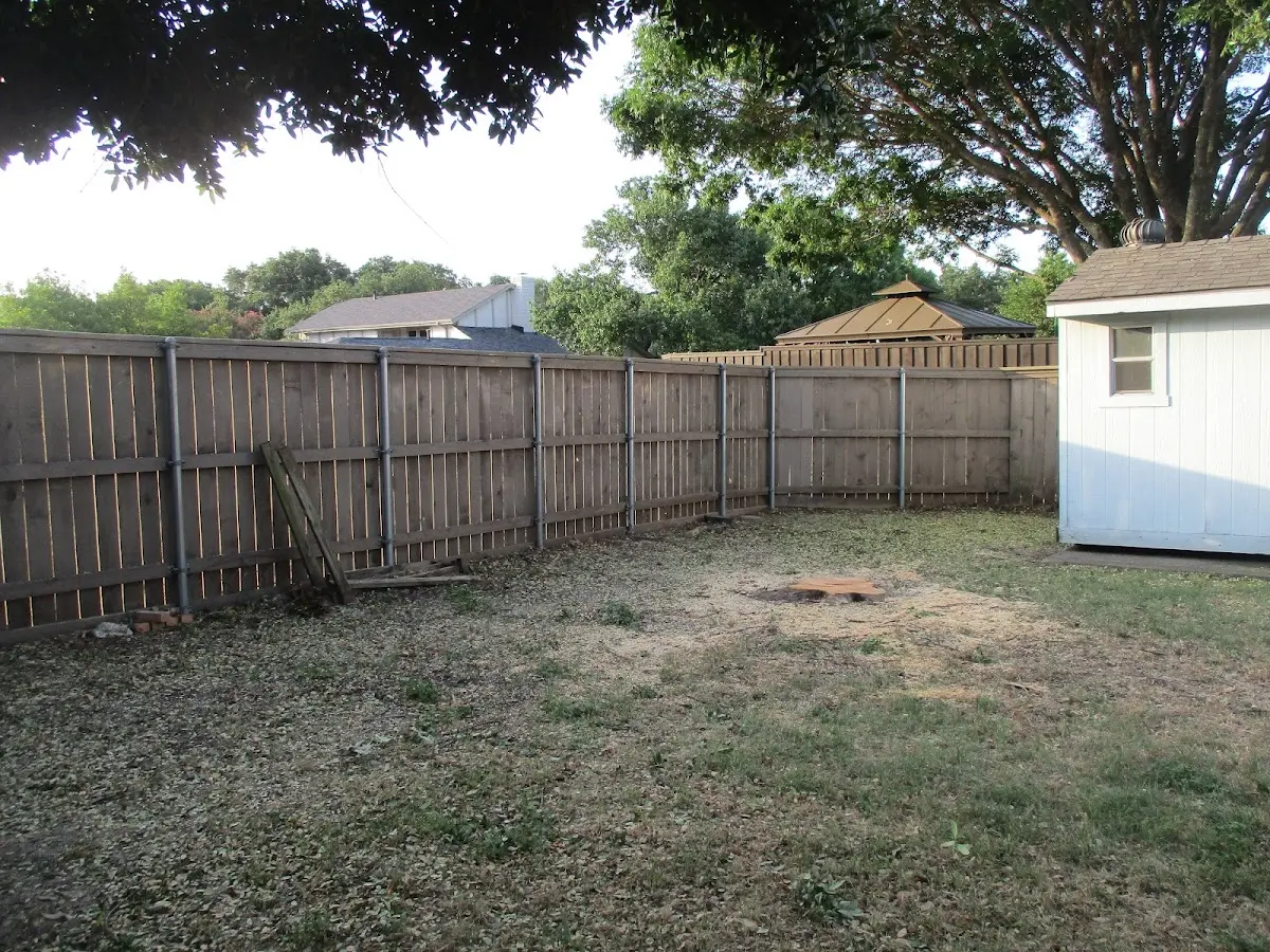 Cleared yard after professional tree removal in Lucerne
